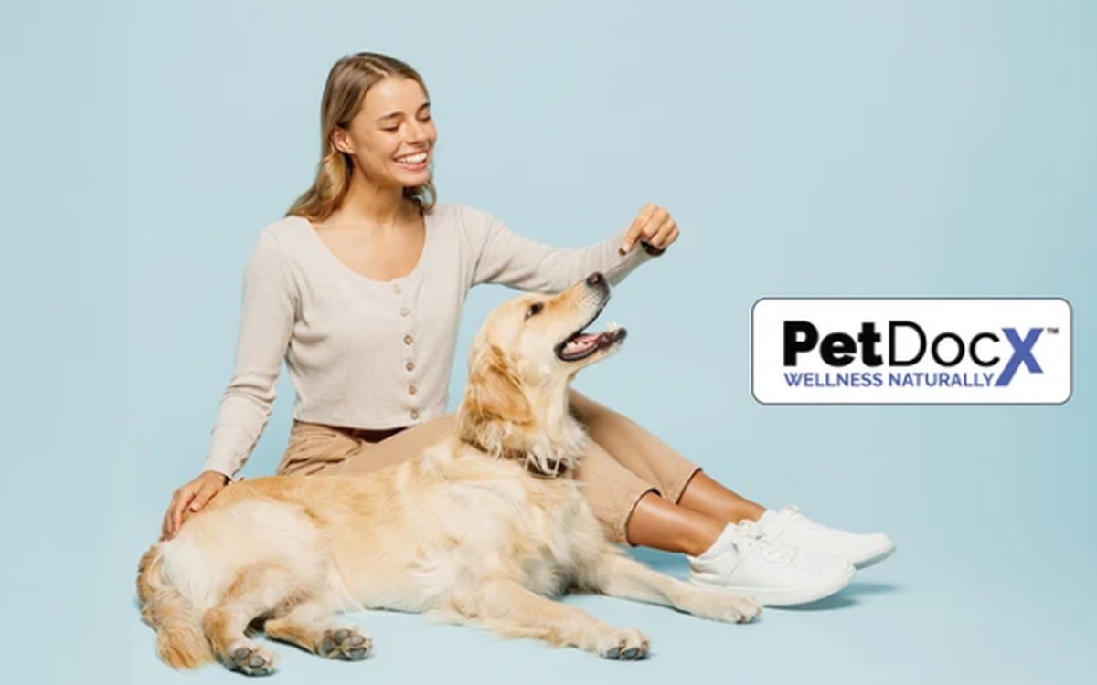 PetDocX beta program