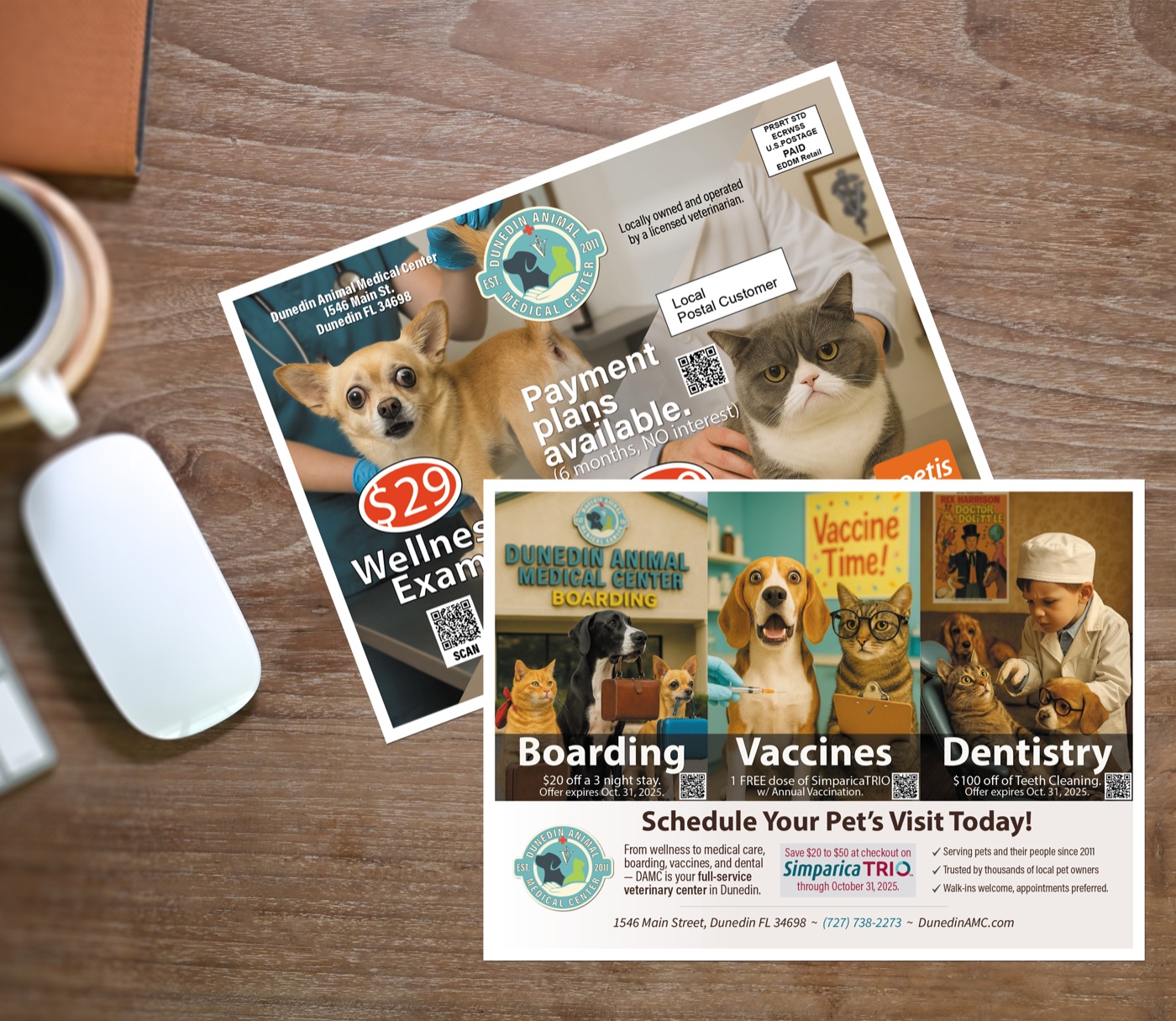 DAMC Services EDDM Postcard